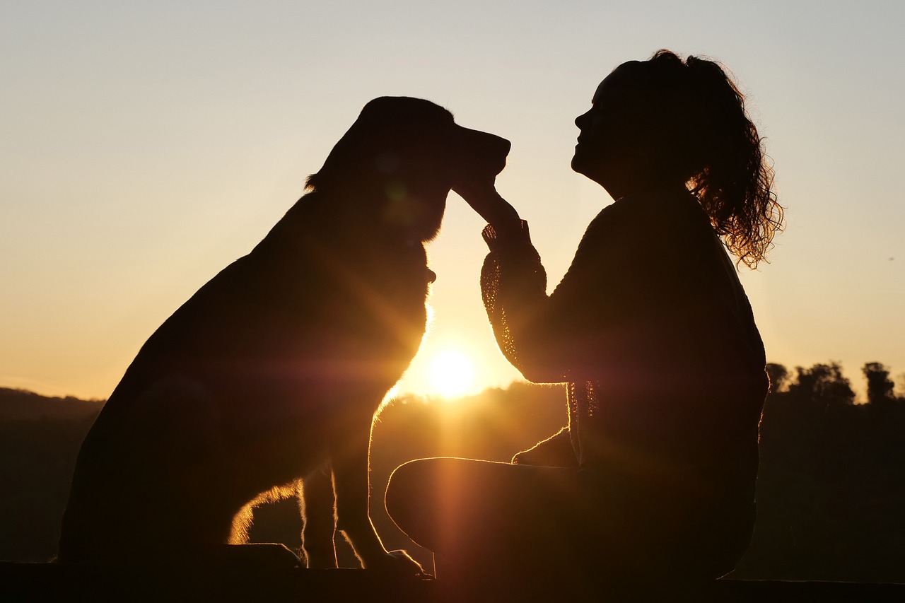 Harnessing the Power of Positive Reinforcement: Rewarding Your Dog for Good Behaviour